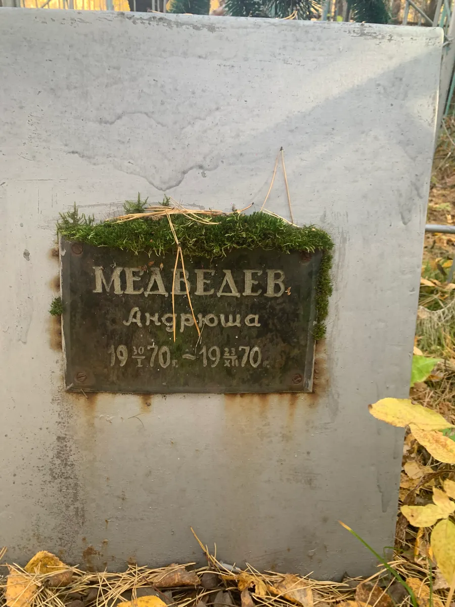 Медведев Андроша