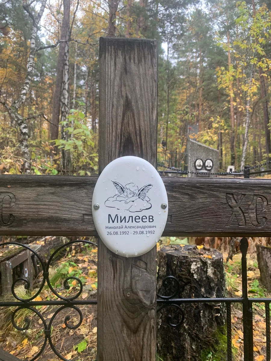 Милеев Николай Александрович