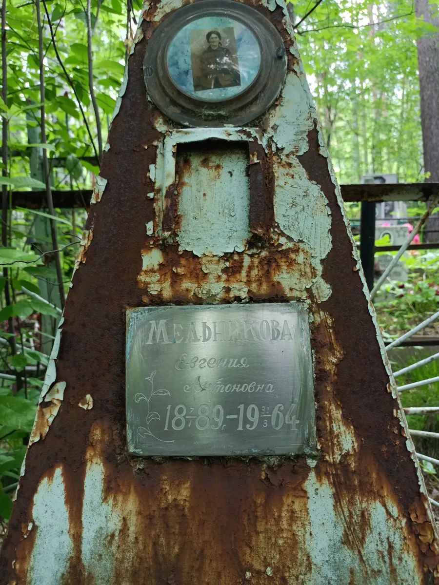 Младникова Евгения Аркадьевна