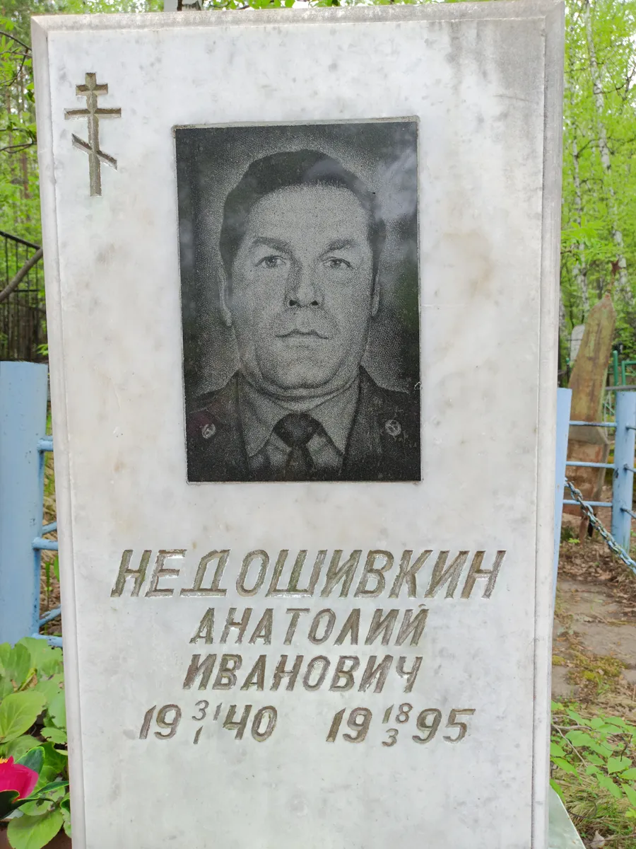 Недошивкин Анатолий Иванович