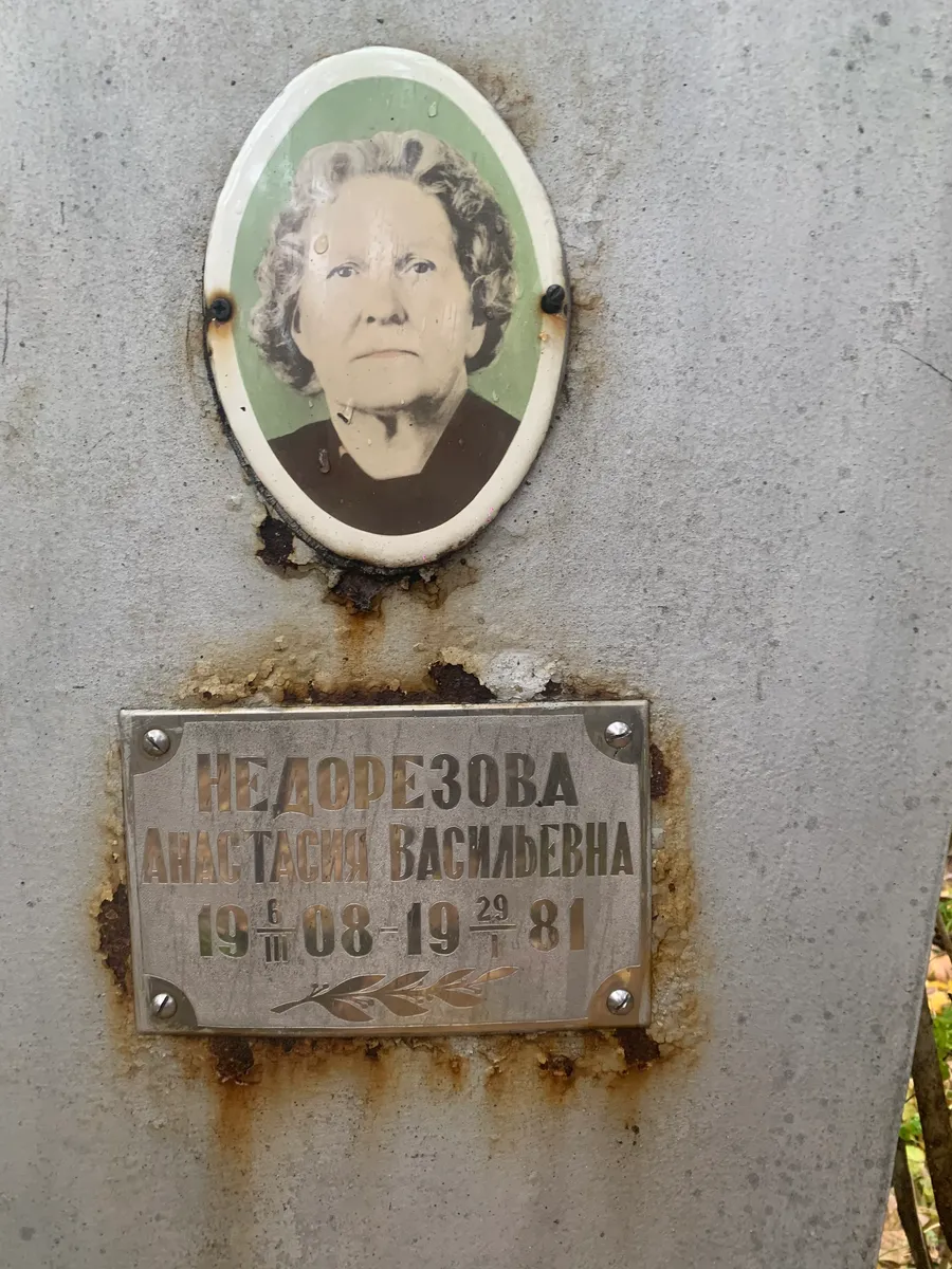 Нелодезова Анастасия Васильевна