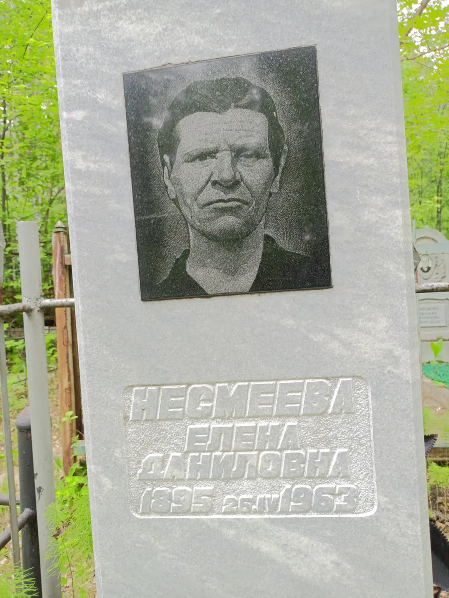 Несмеева Елена Дмитриевна