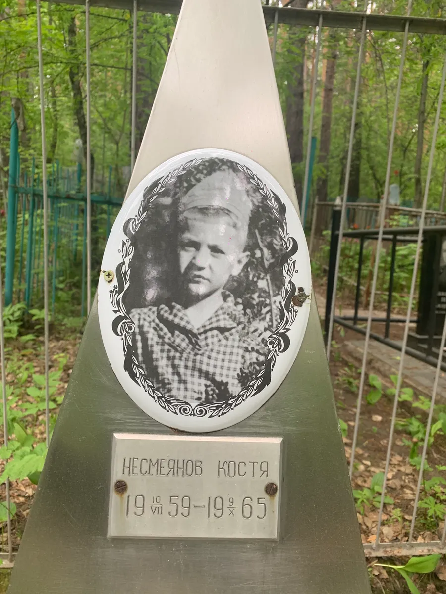 Несмеянов Костя