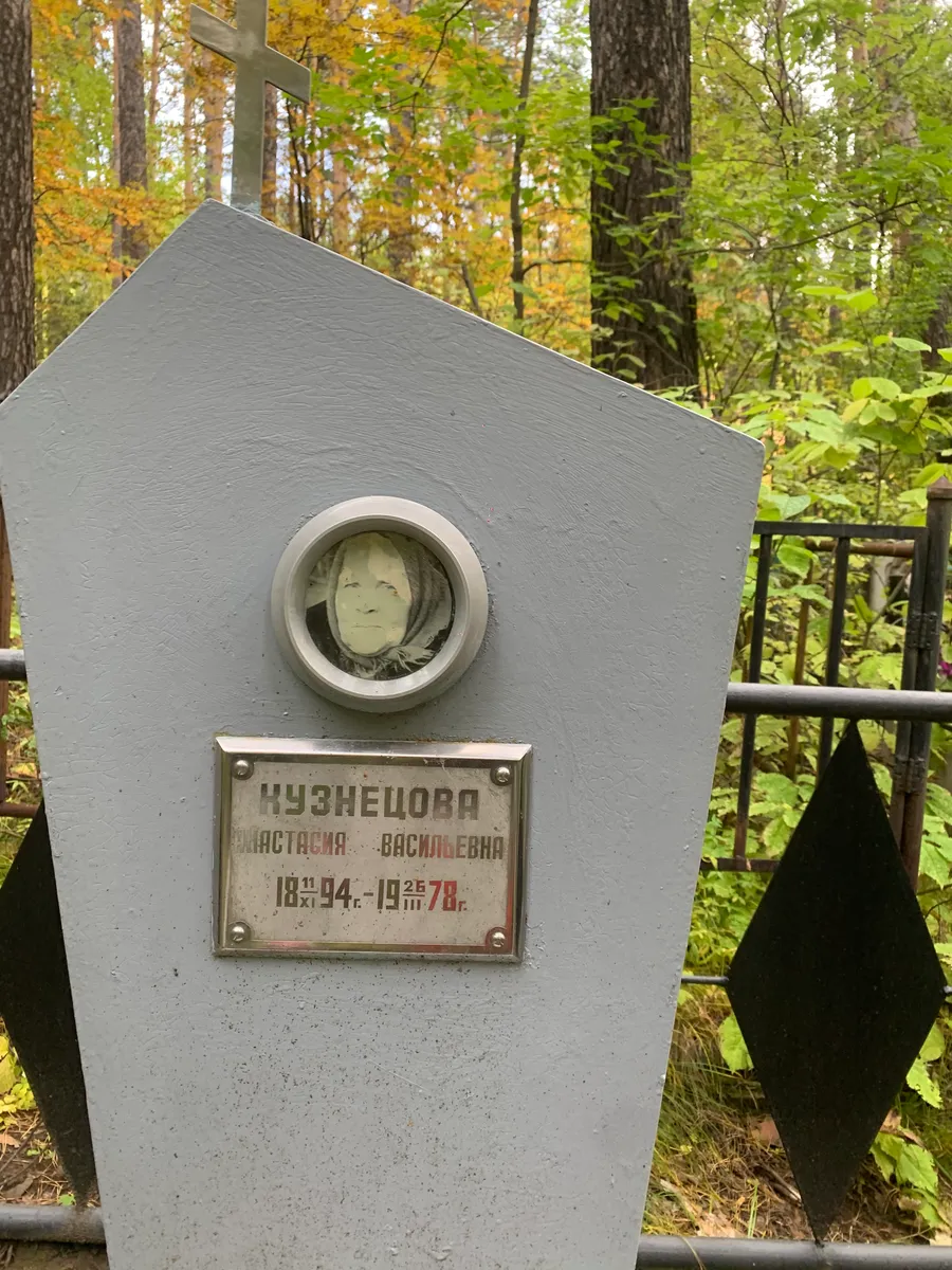 Ничипецова Анастасия Васильевна