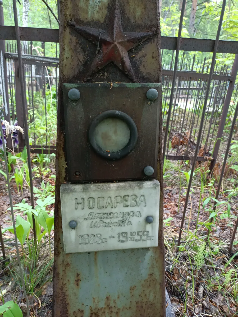 Носарева Александра Шумилина