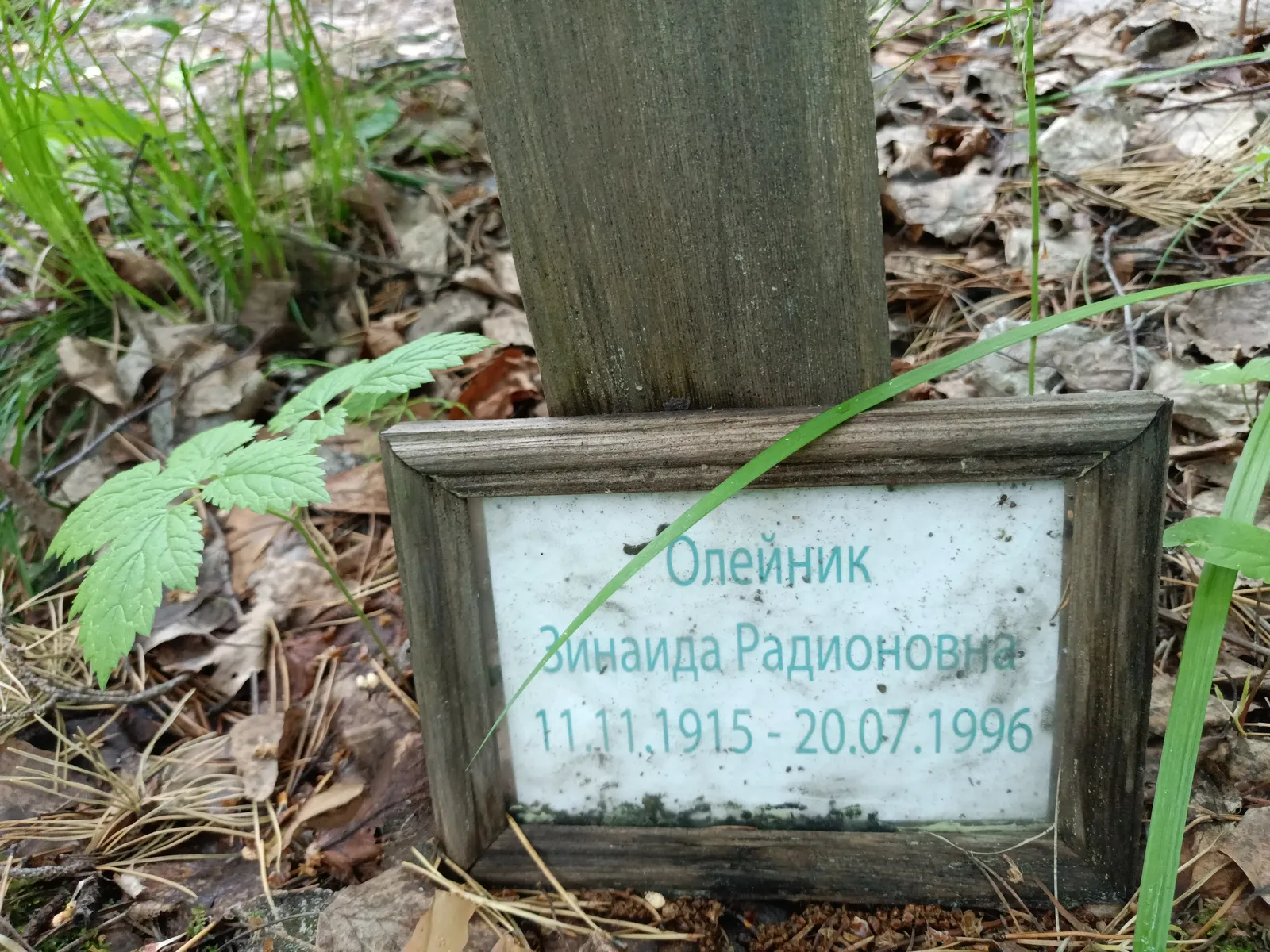 Олейник Зинаида радионовна