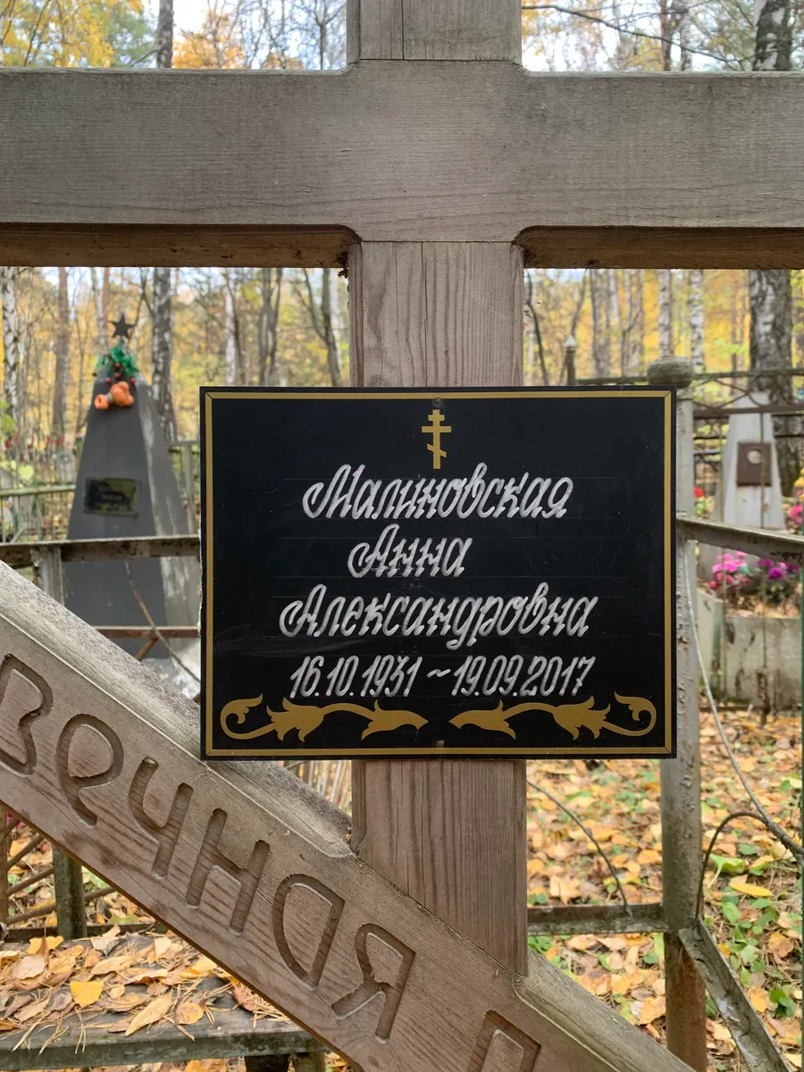 Онацибовская Дина Алексеевна