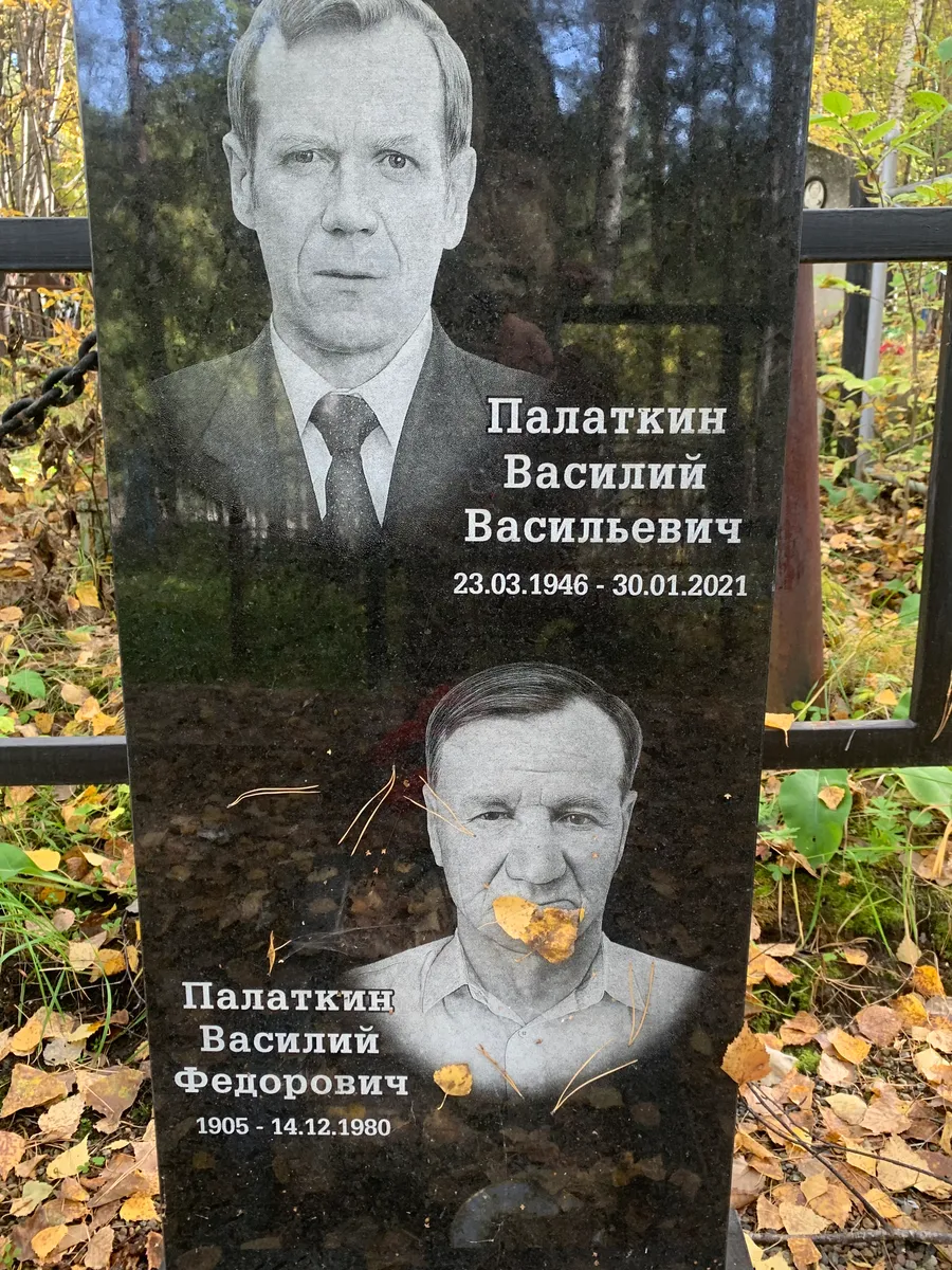 Палаткин Василий Васильевич