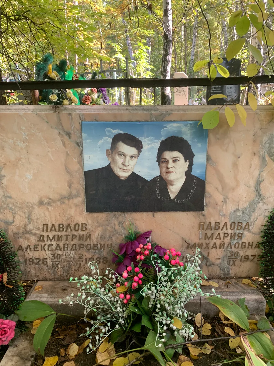 Павлов Дмитрий Александрович