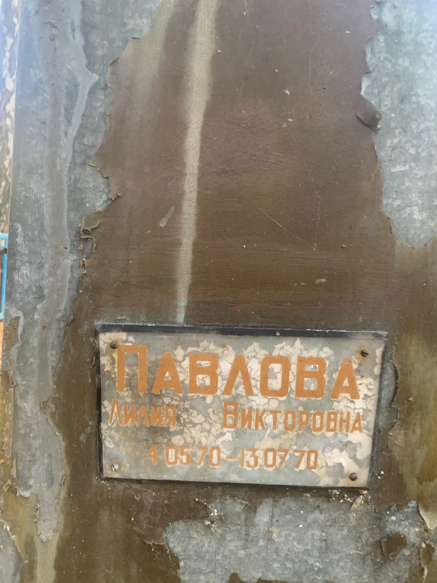 Павлова Лилия Викторовна