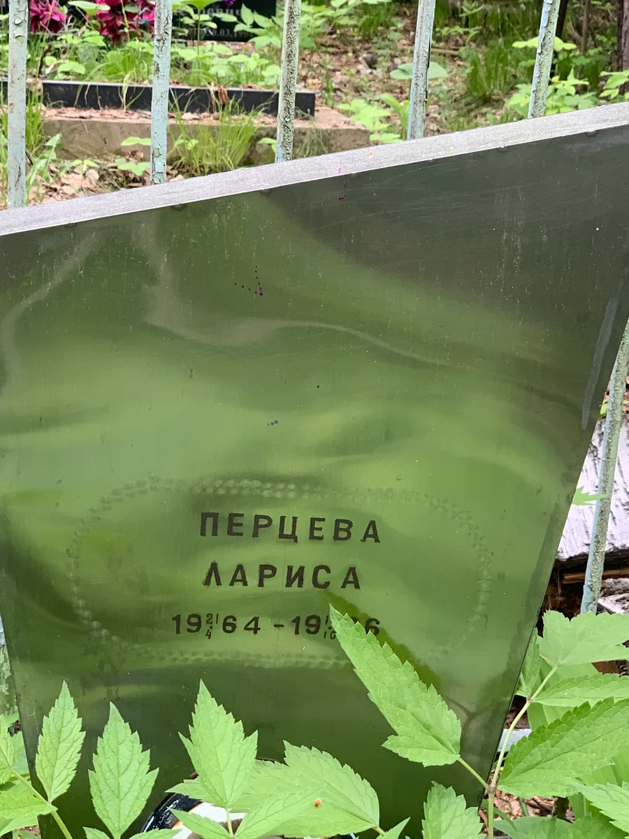 Перцева Лариса