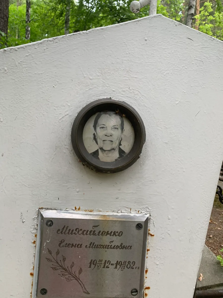 Петушенко Елена Михайловна