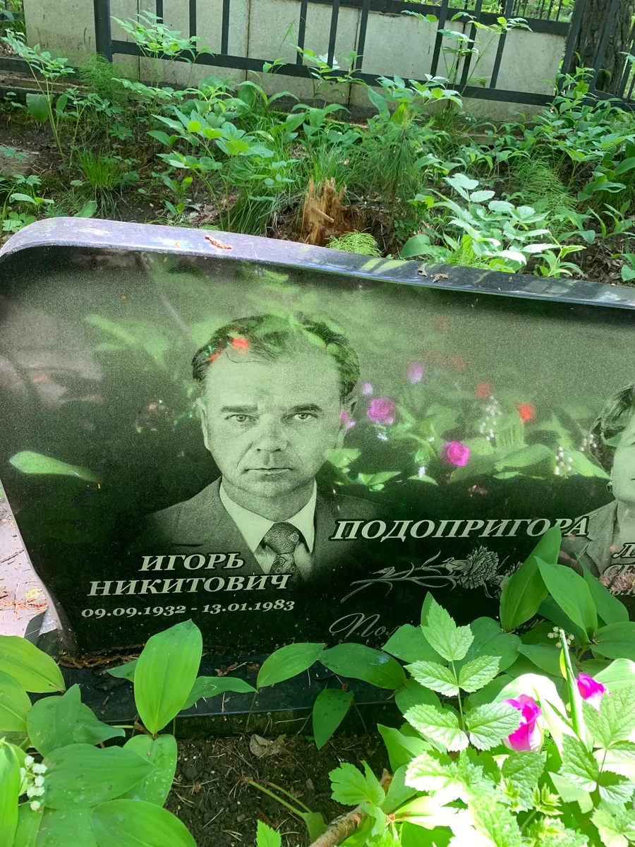 Подопригора Игорь Никитович