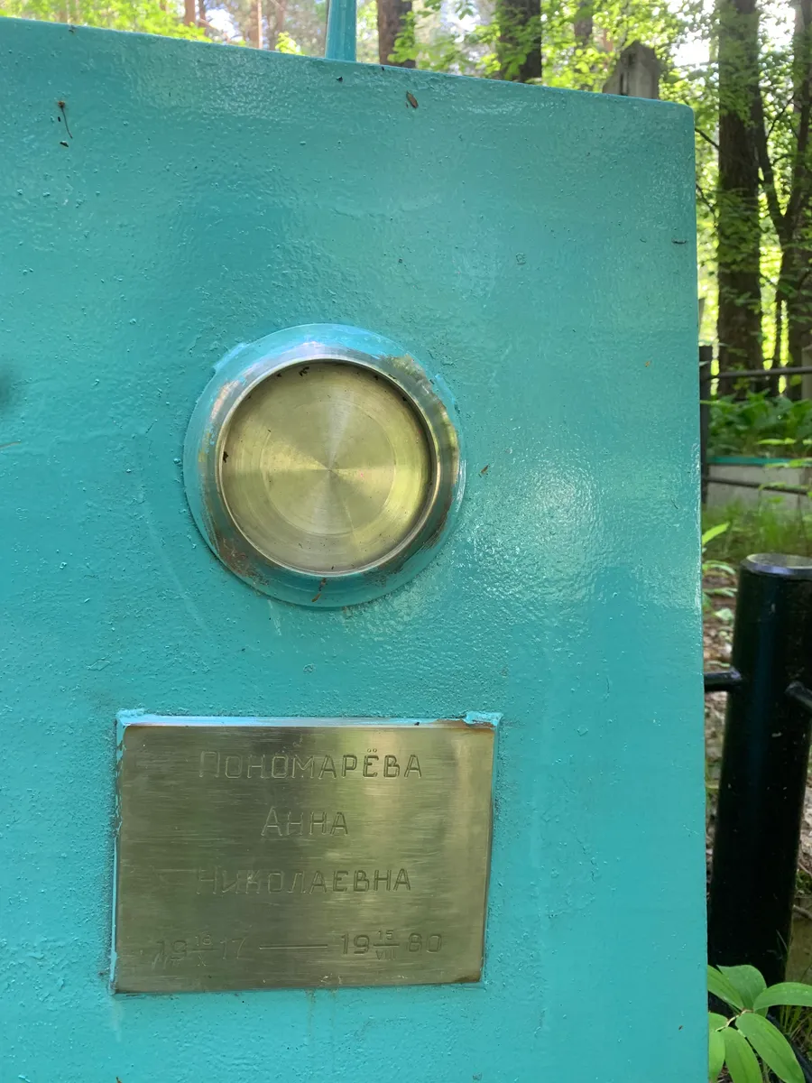 Поноамарева Анна Николаевна