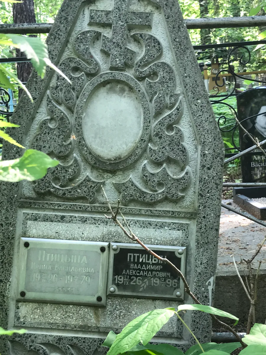 Птицын Владимир Александрович