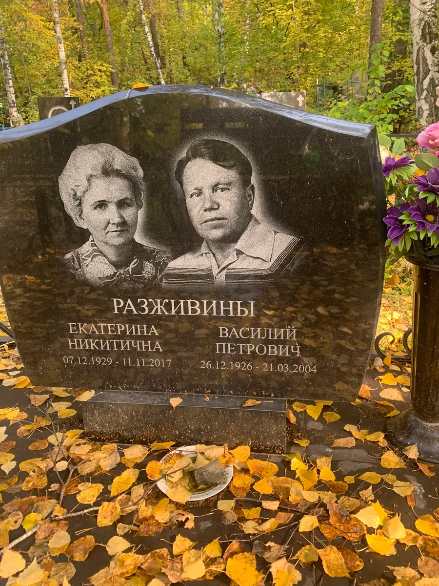 Разживин Василий Петрович