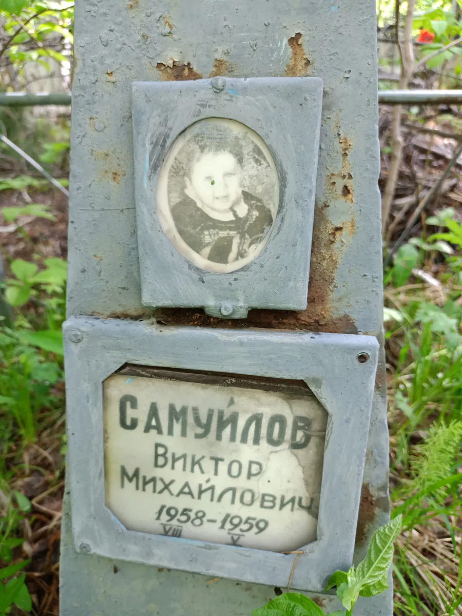 Самуилов Виктор Михайлович