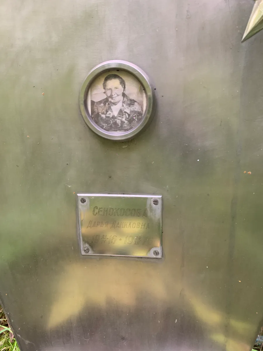 Сенокосова Дарья Даниловна