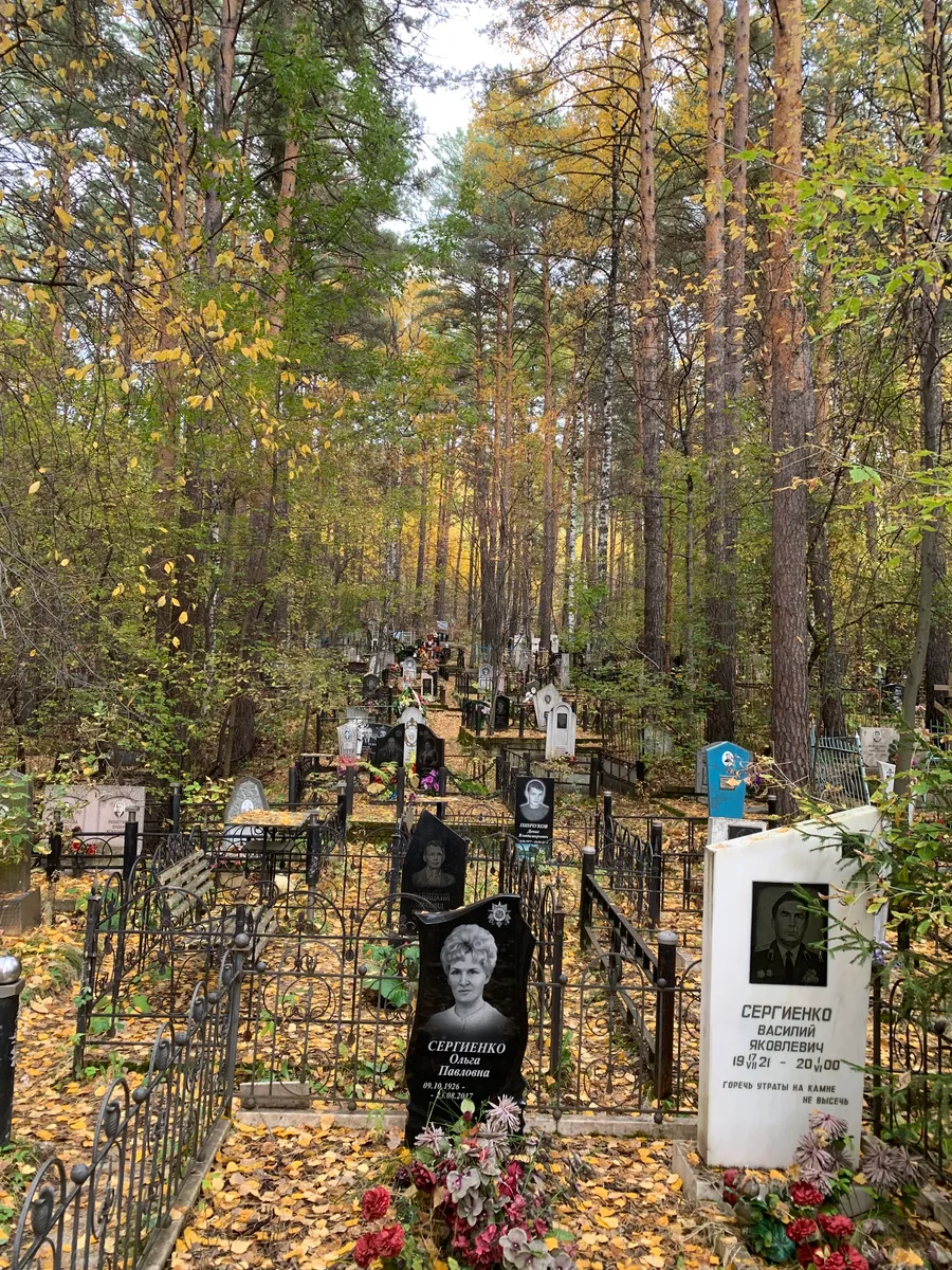 Сергиенко Василий Яковлевич