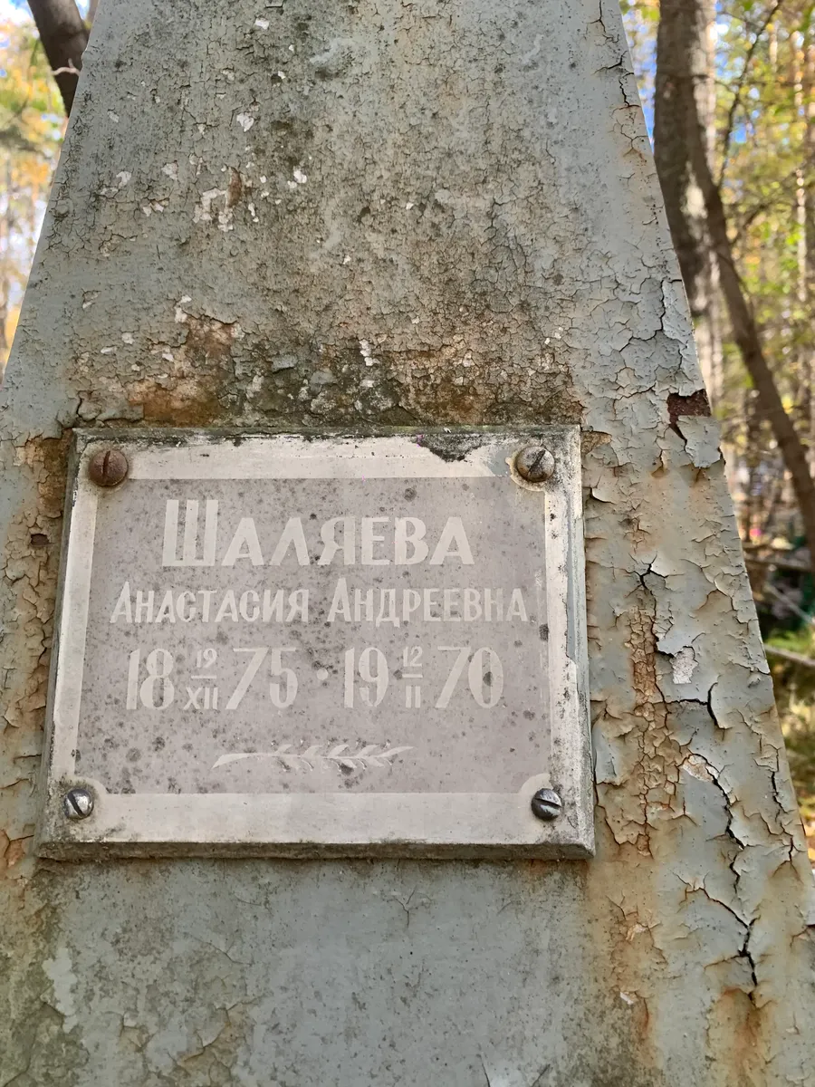 Шалыева Анастасия Андреевна