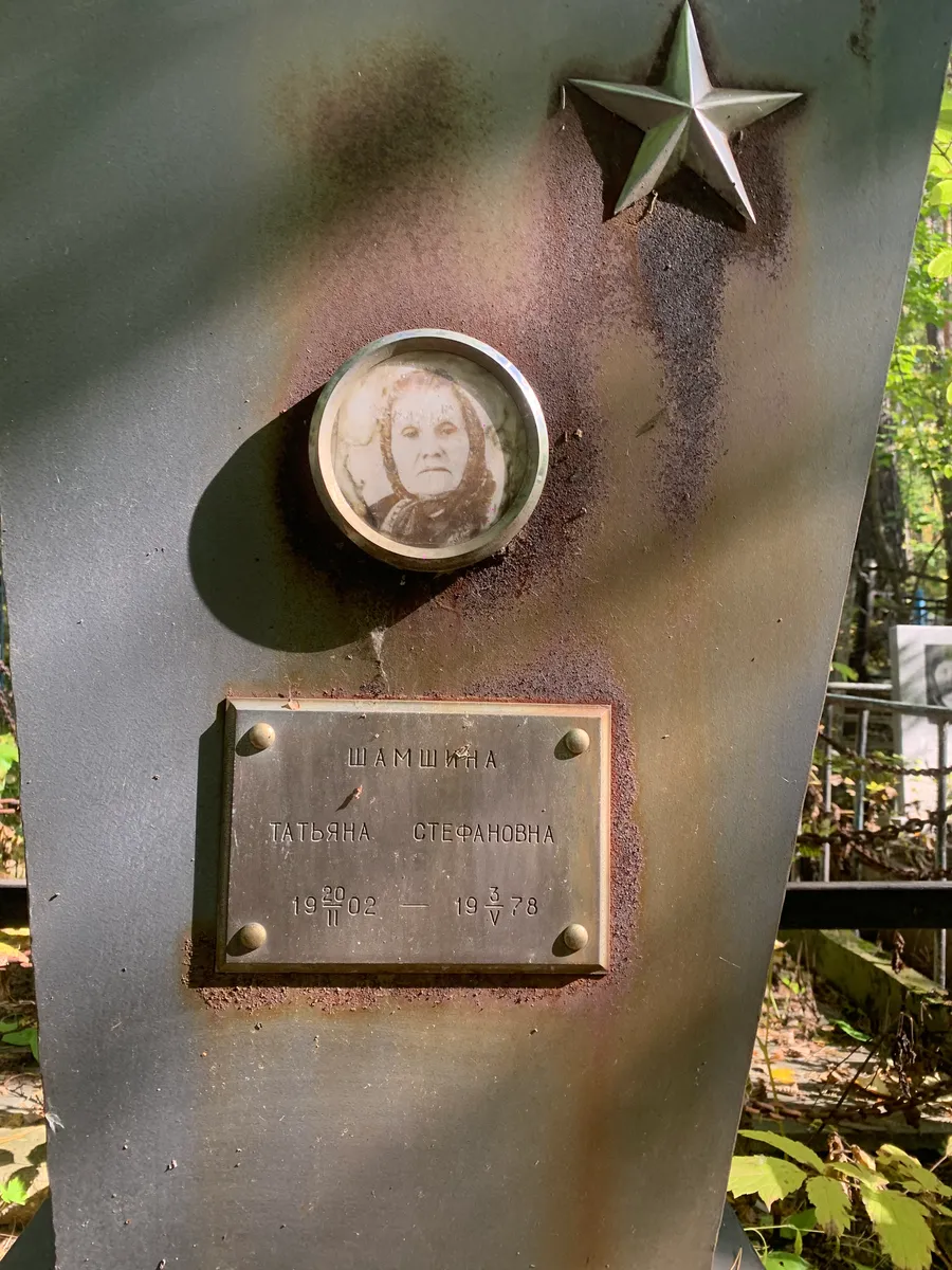 Шамшина Татьяна Stefanovna