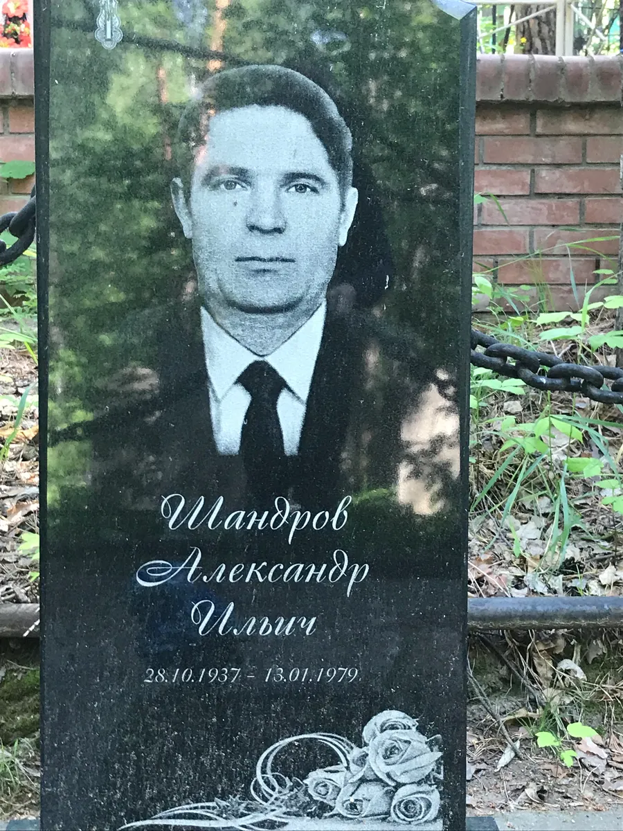 Шандров Александр Ильич