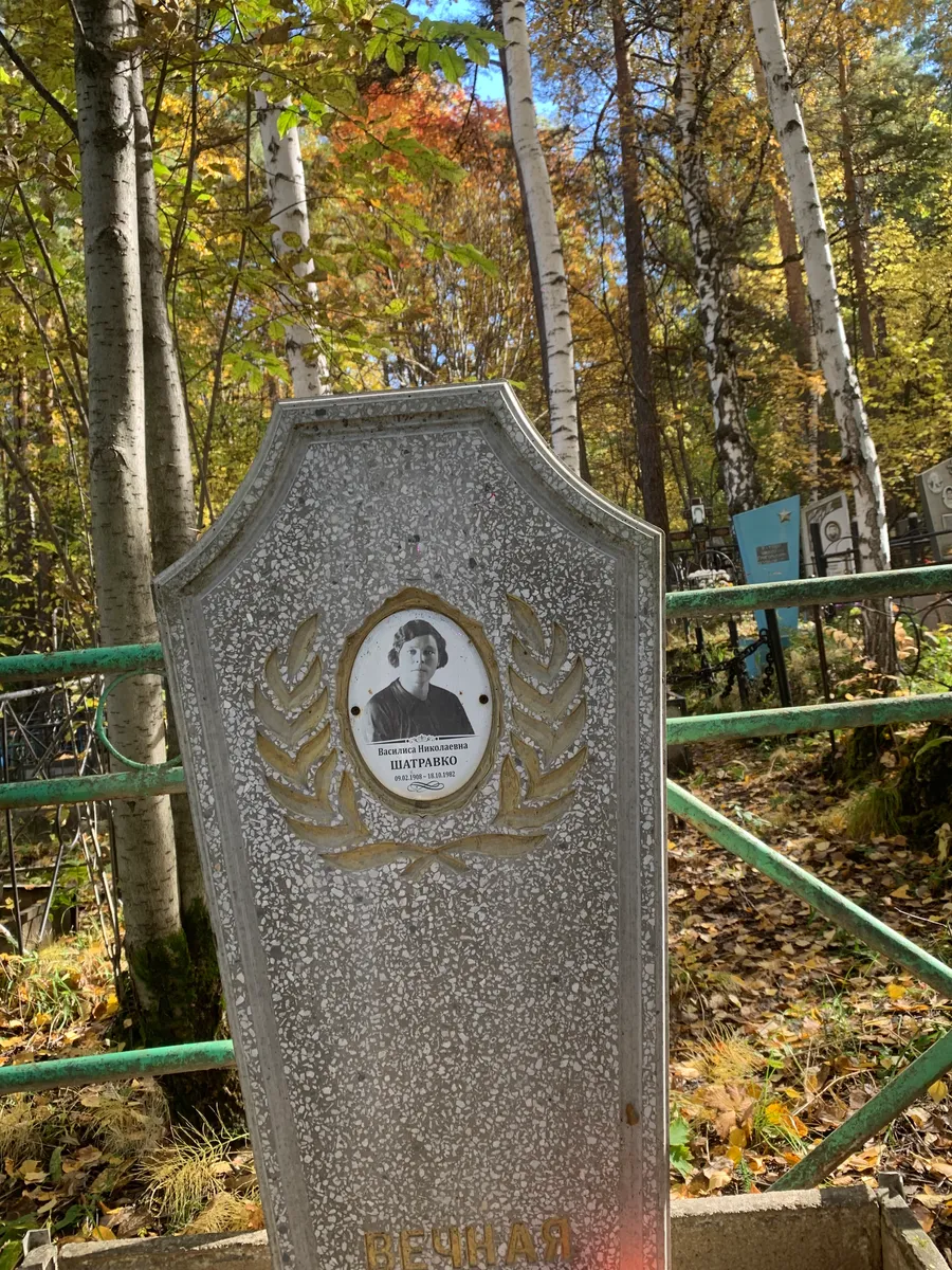 Шатравко Василиса Николаевна