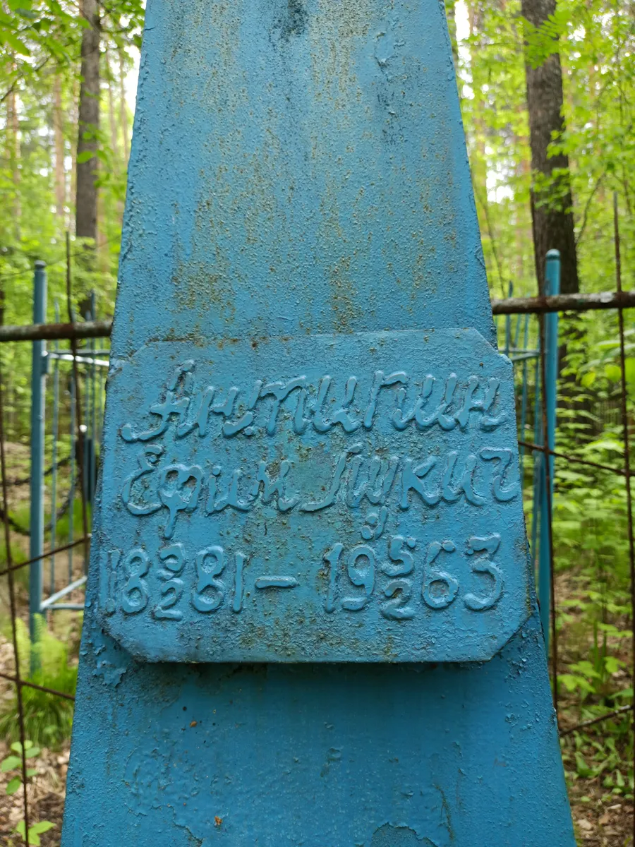 Шестальцов Сергей