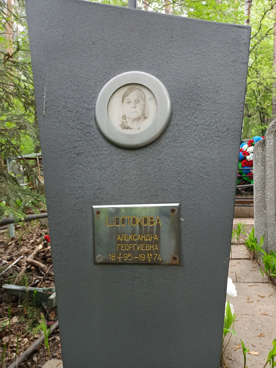 Шестокова Александра Георгиевна