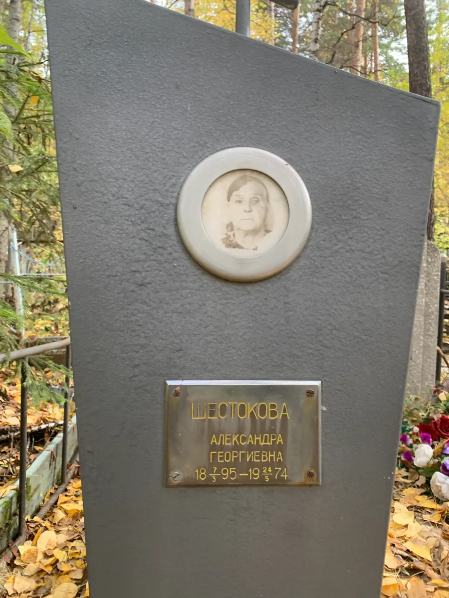 Шестокова Александра Георгиевна