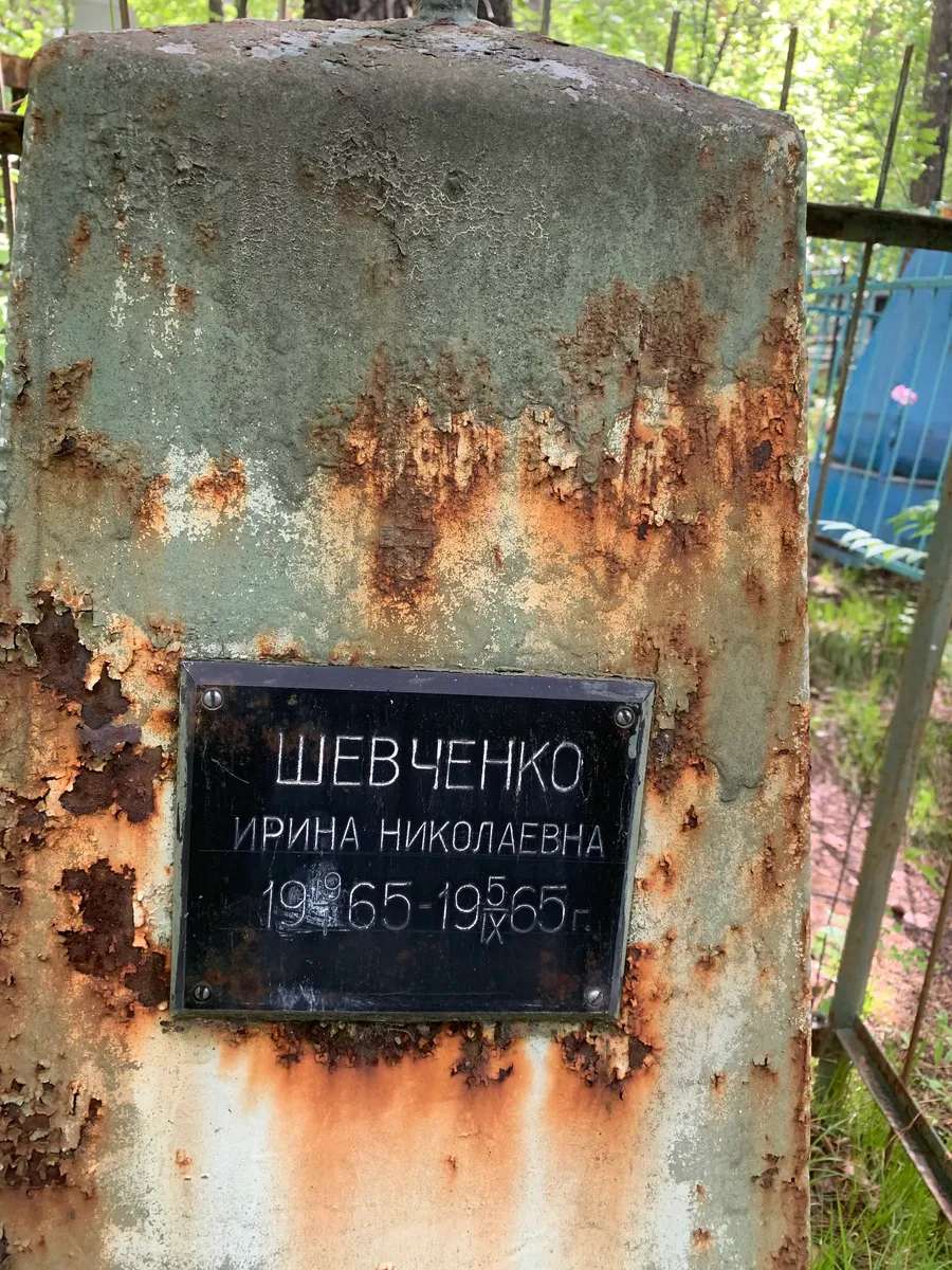 Шевченко Ирина николаевна