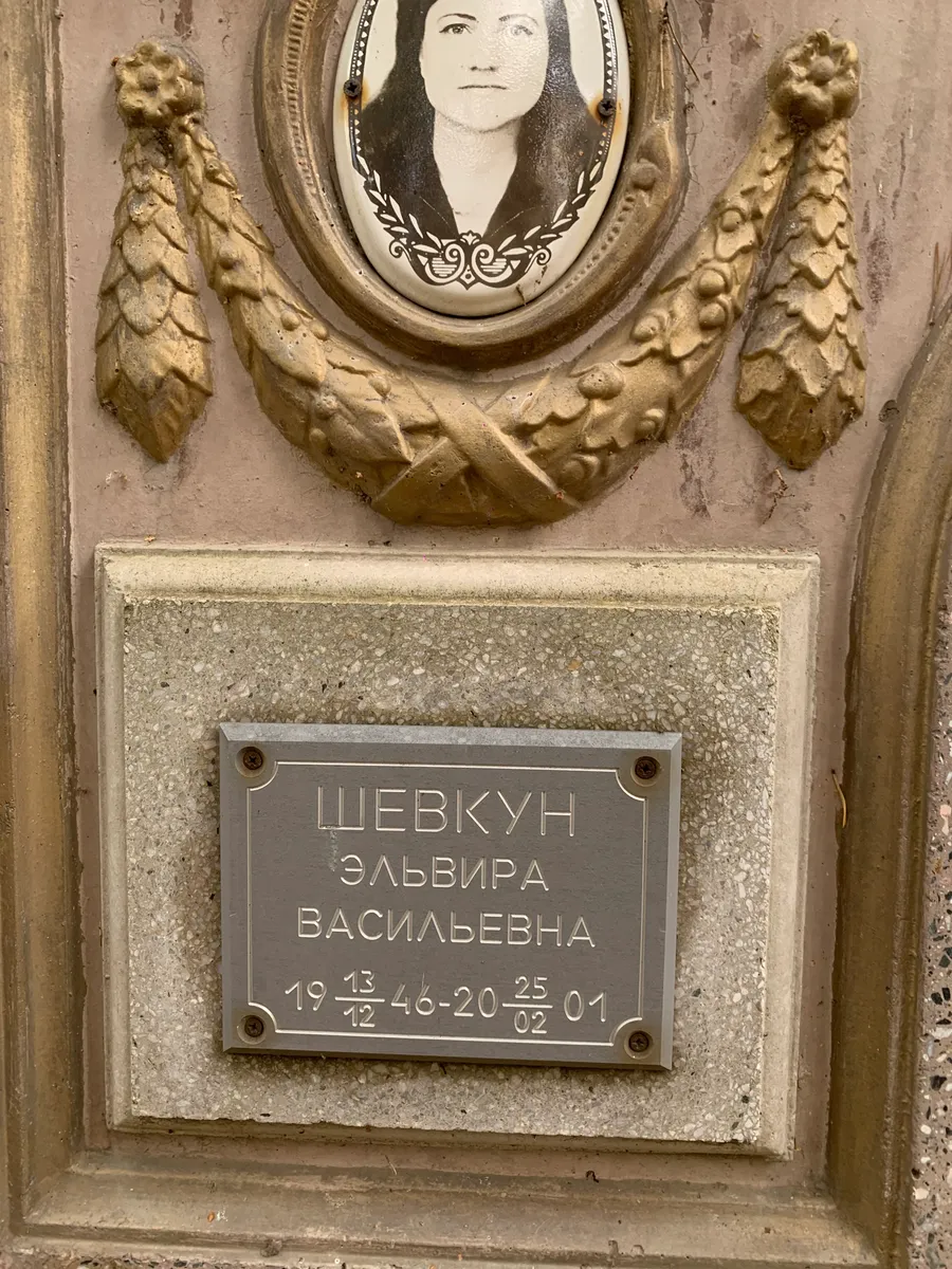 Шевкун Эльвира Васильевна