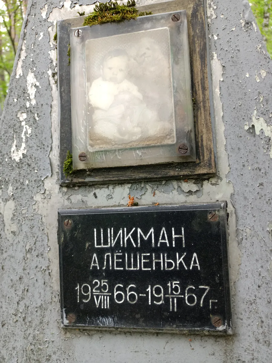 Шикман Алёшенька