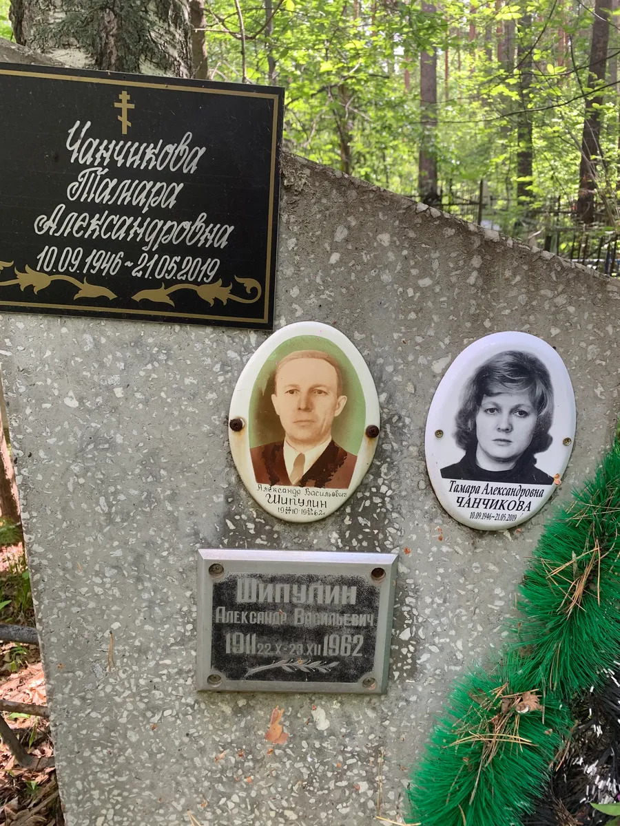 Шипицин Александр Васильевич