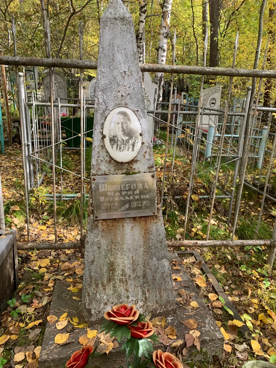 Шипилова Нина Николаевна