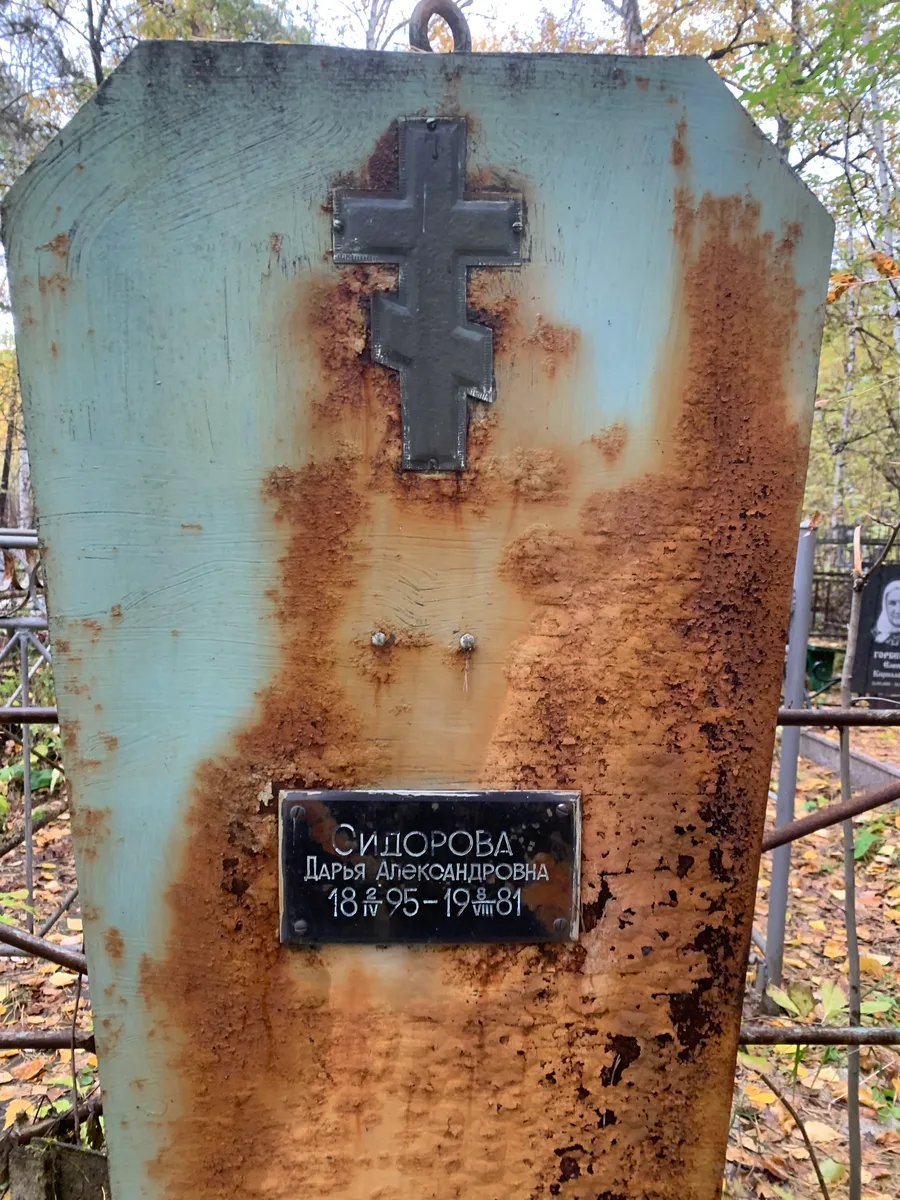 Сидорова Дарья Александровна