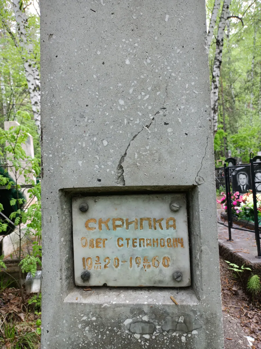 Скрипка Олег Степанович