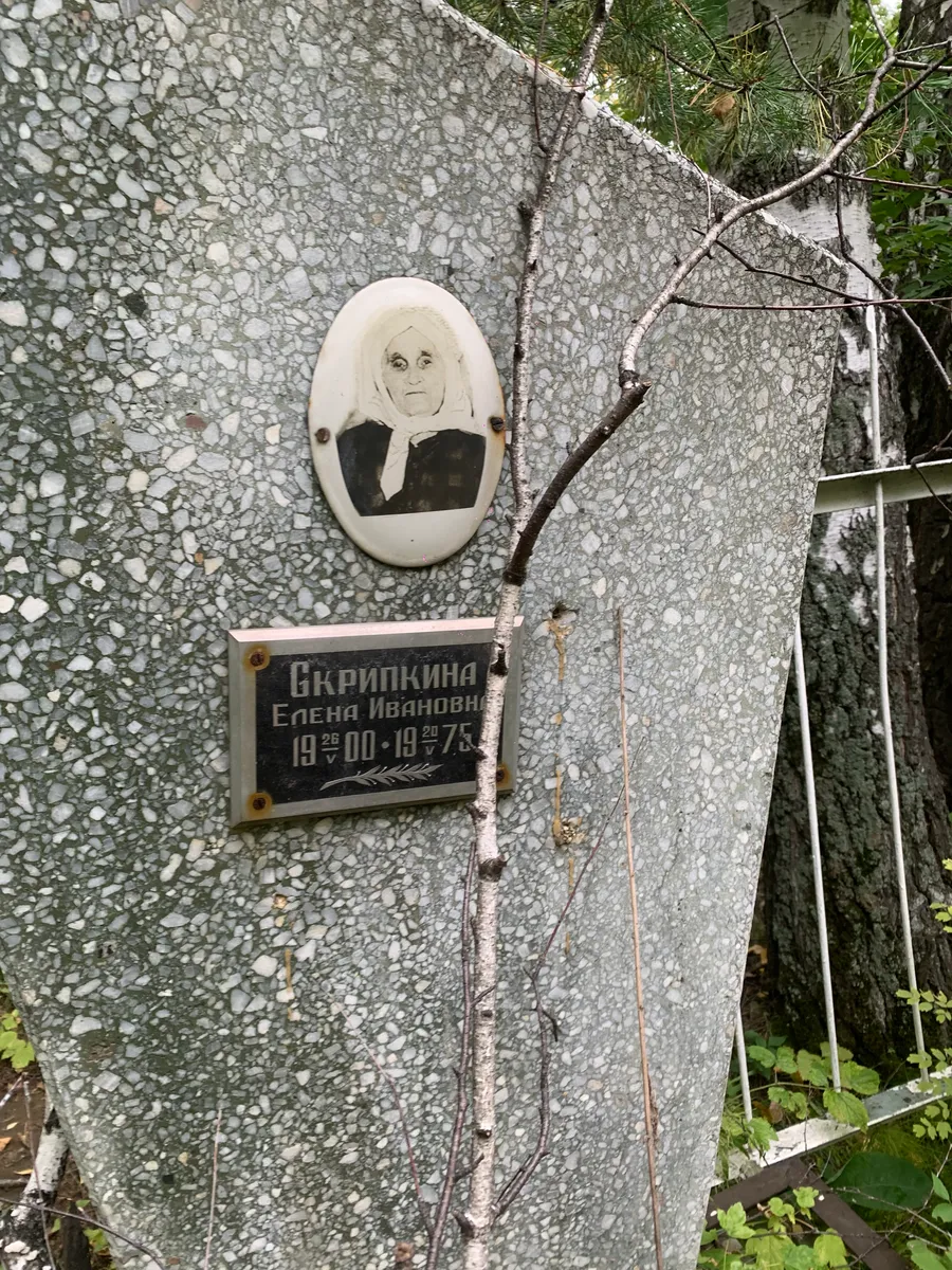 Скрипкина Елена Ивановна