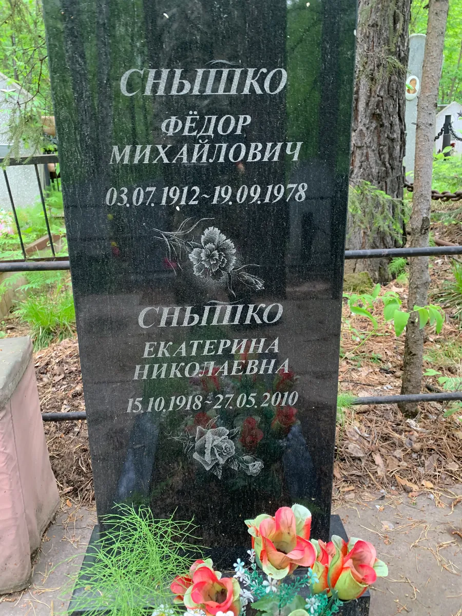 Снышко Екатерина Николаевна