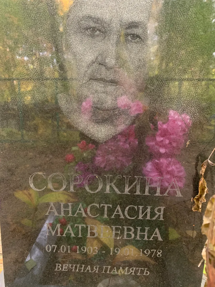 Сорокина Анастасия Матвеевна