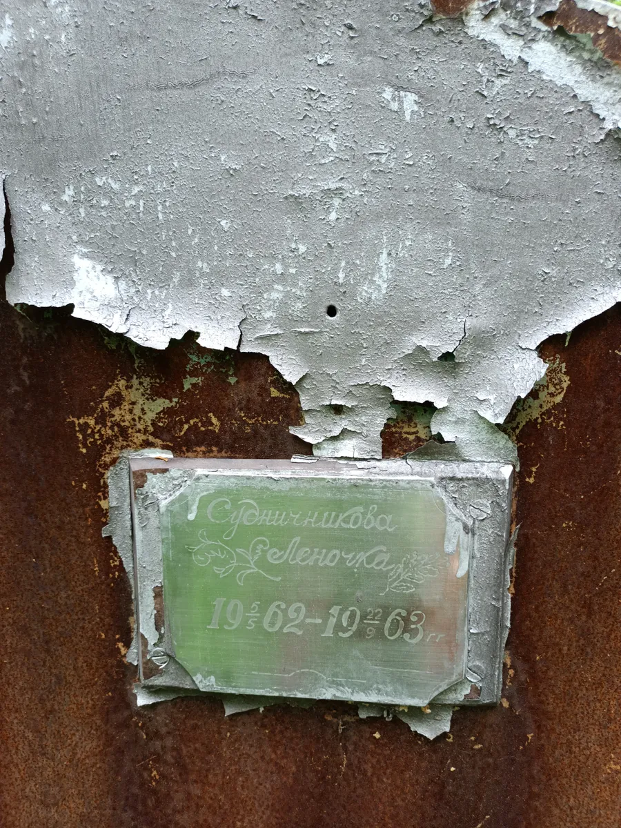 Спиридикова Елена