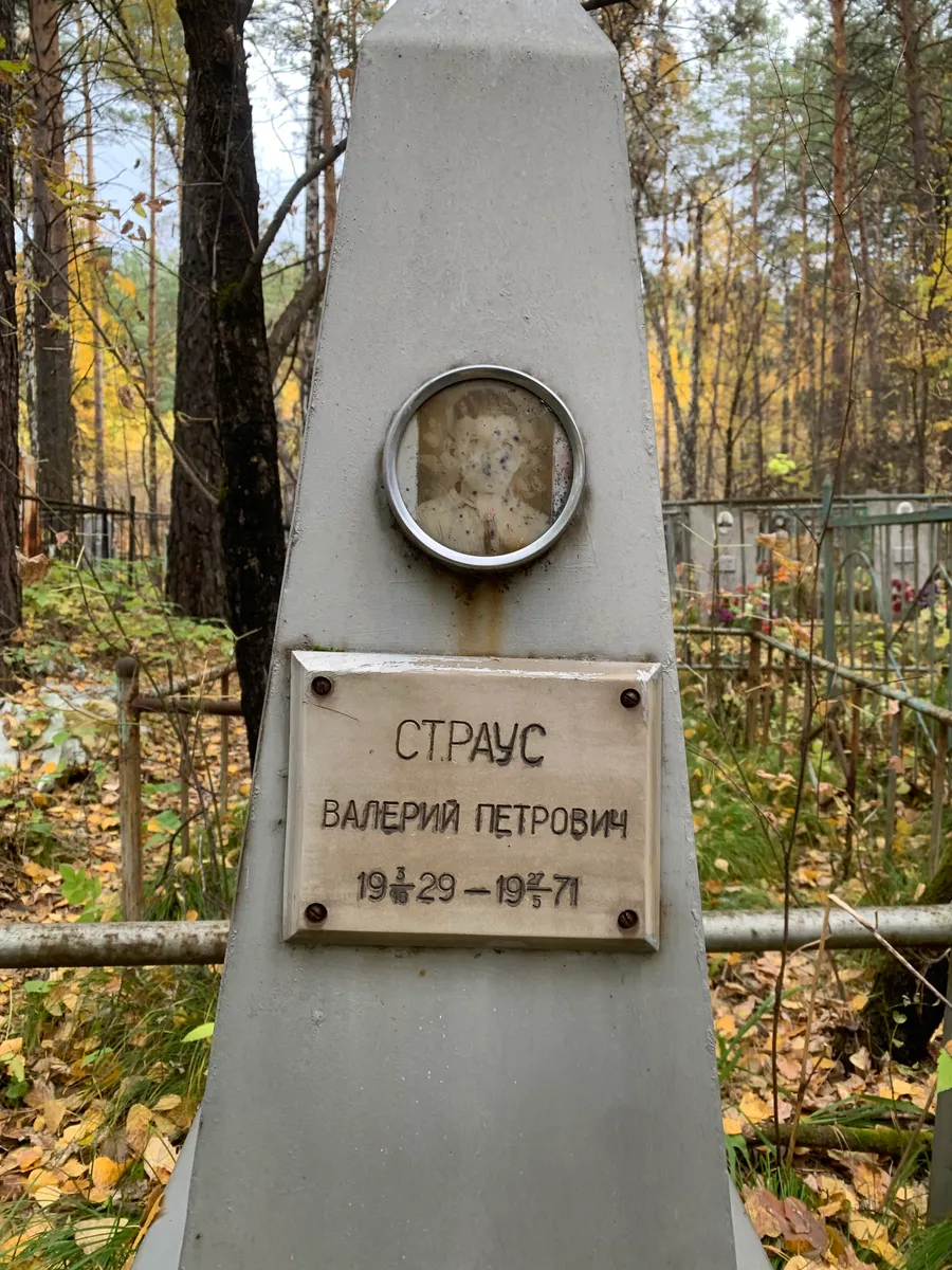 Страус Валерий Петрович