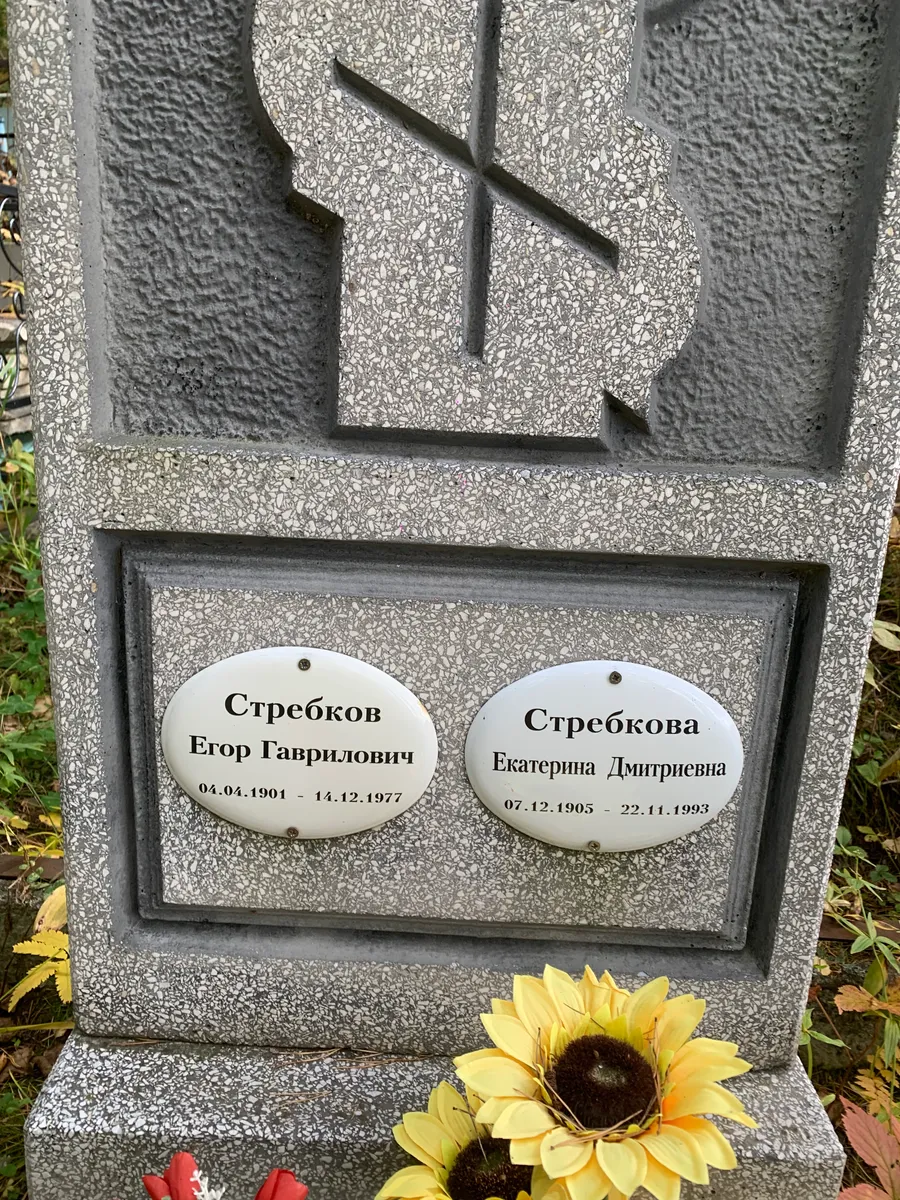 Стребков Егор Гаврилович