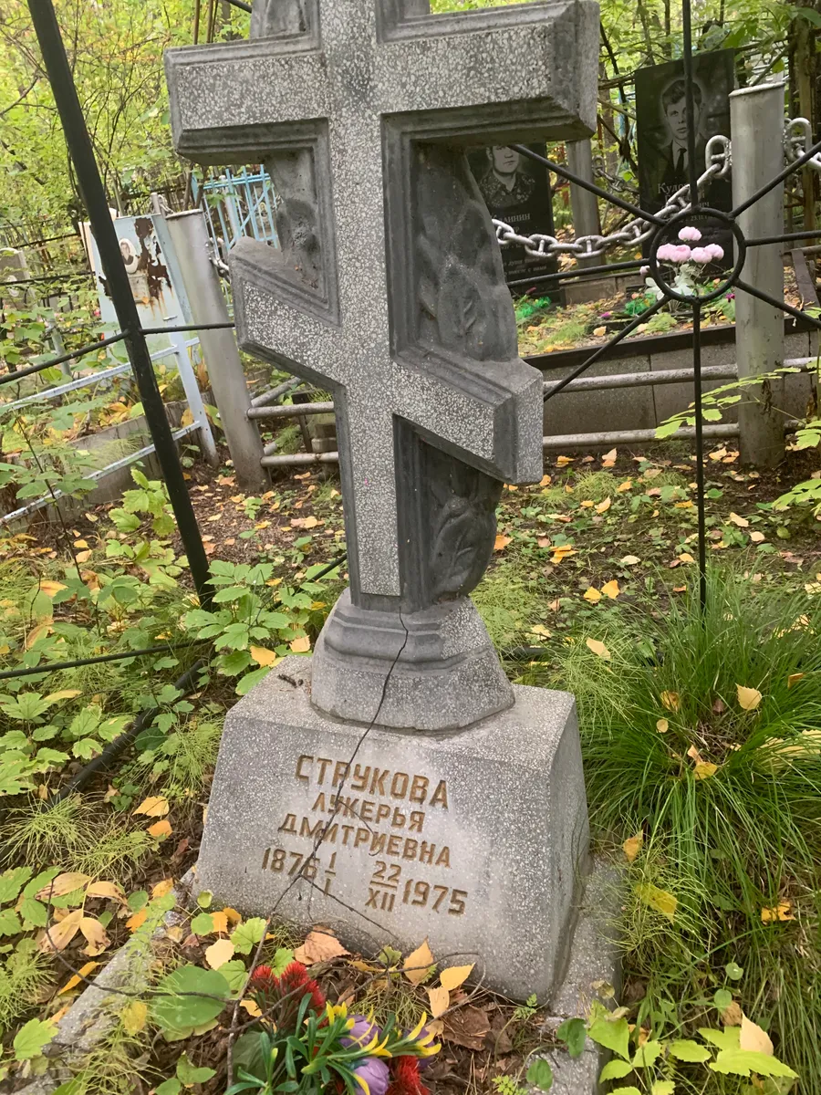 Стучкова Дарья Дмитриевна