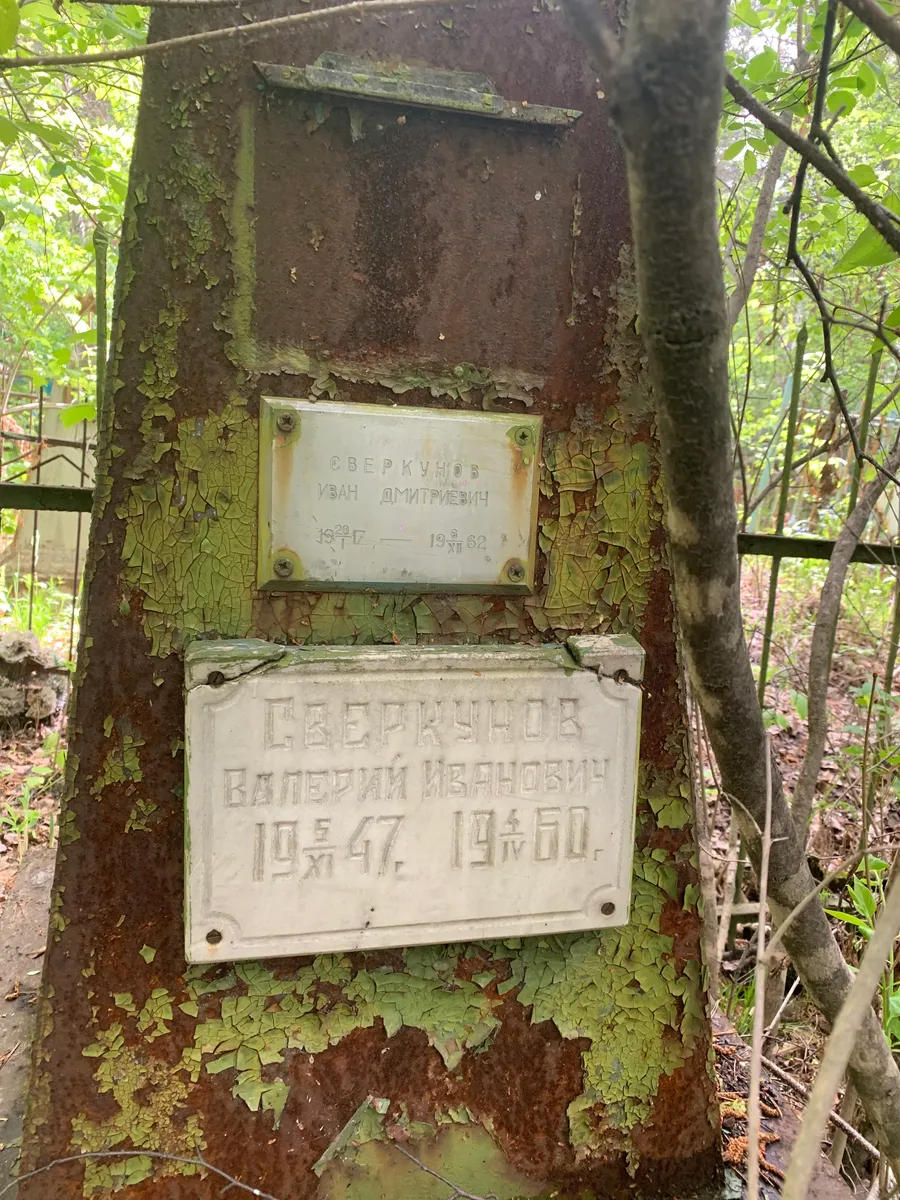 Сверкунов Валерий Иванович