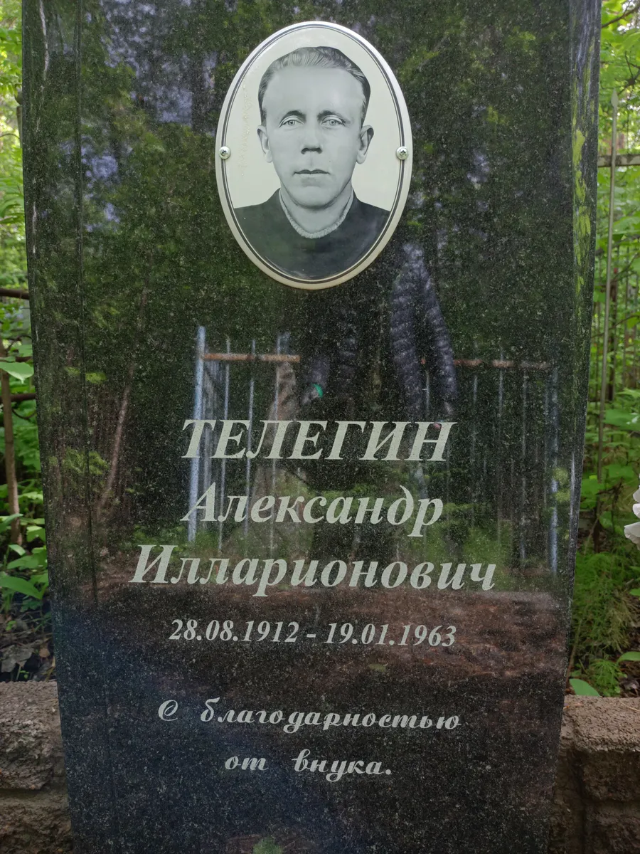 Телегин Александр Илларионович