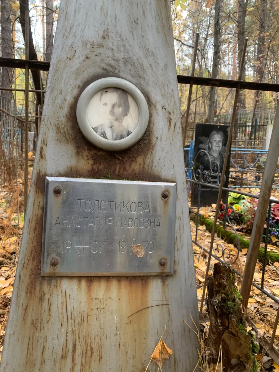 Толстикова Анастасия Павловна