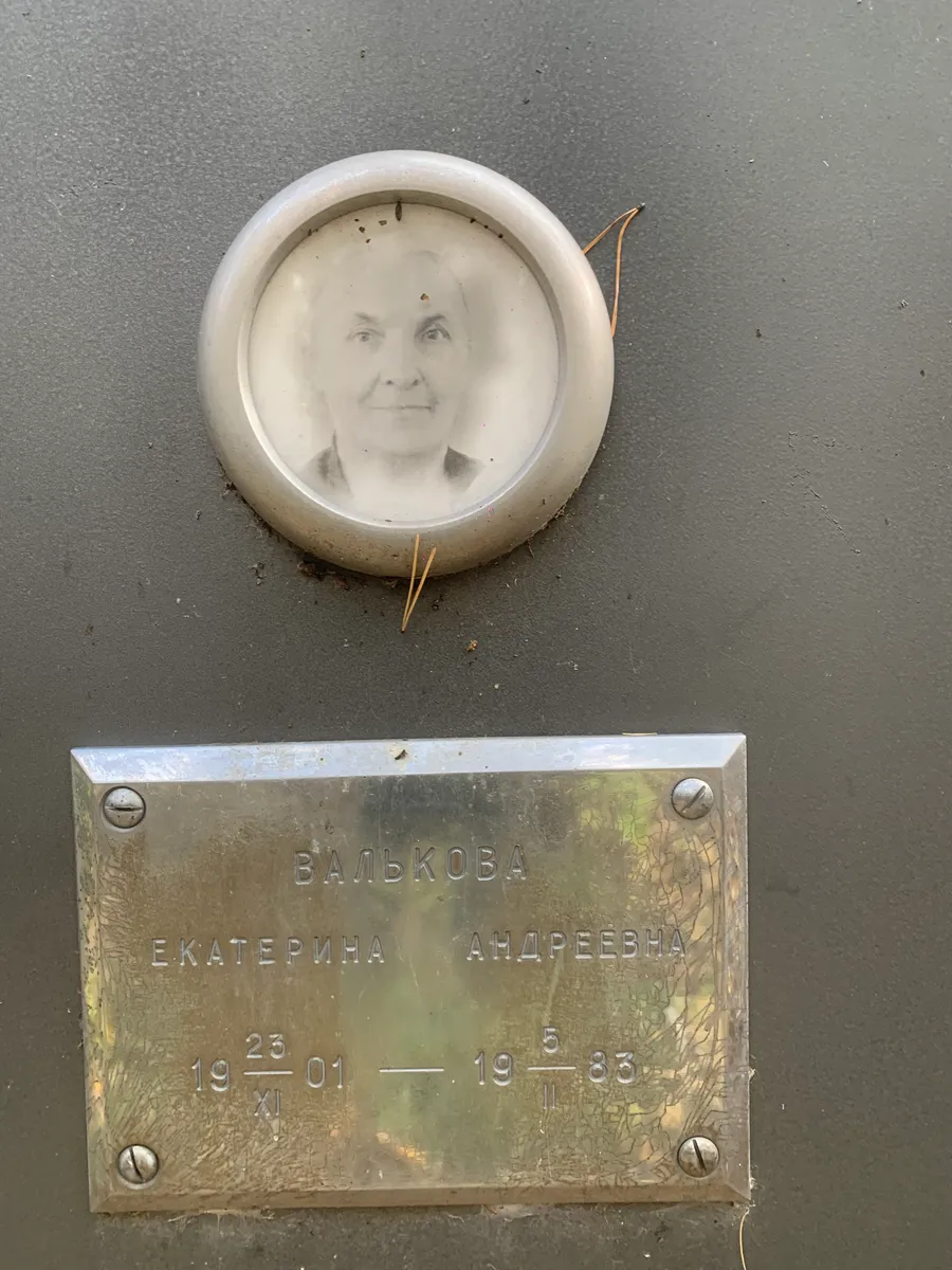 Валькова Екатерина Андреевна