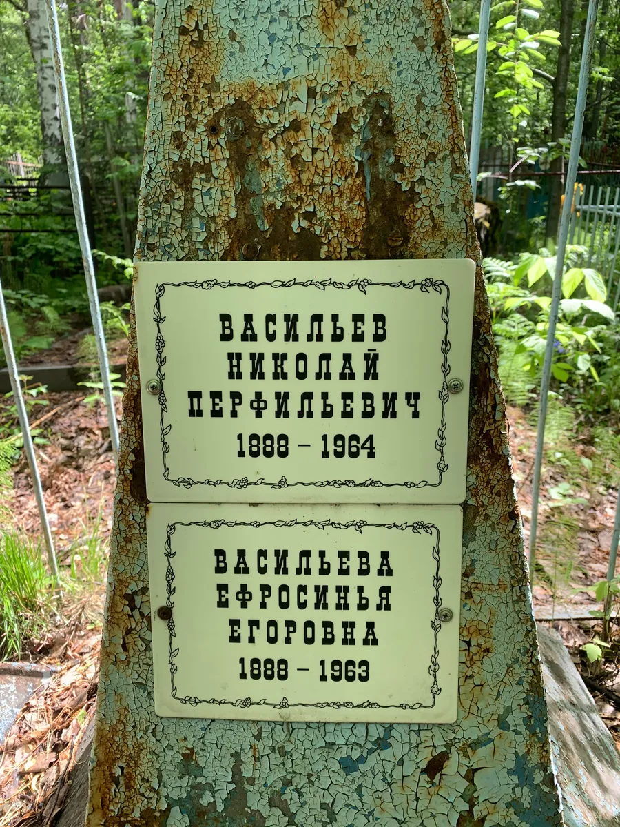 Васильева Ефросиния Егоровна