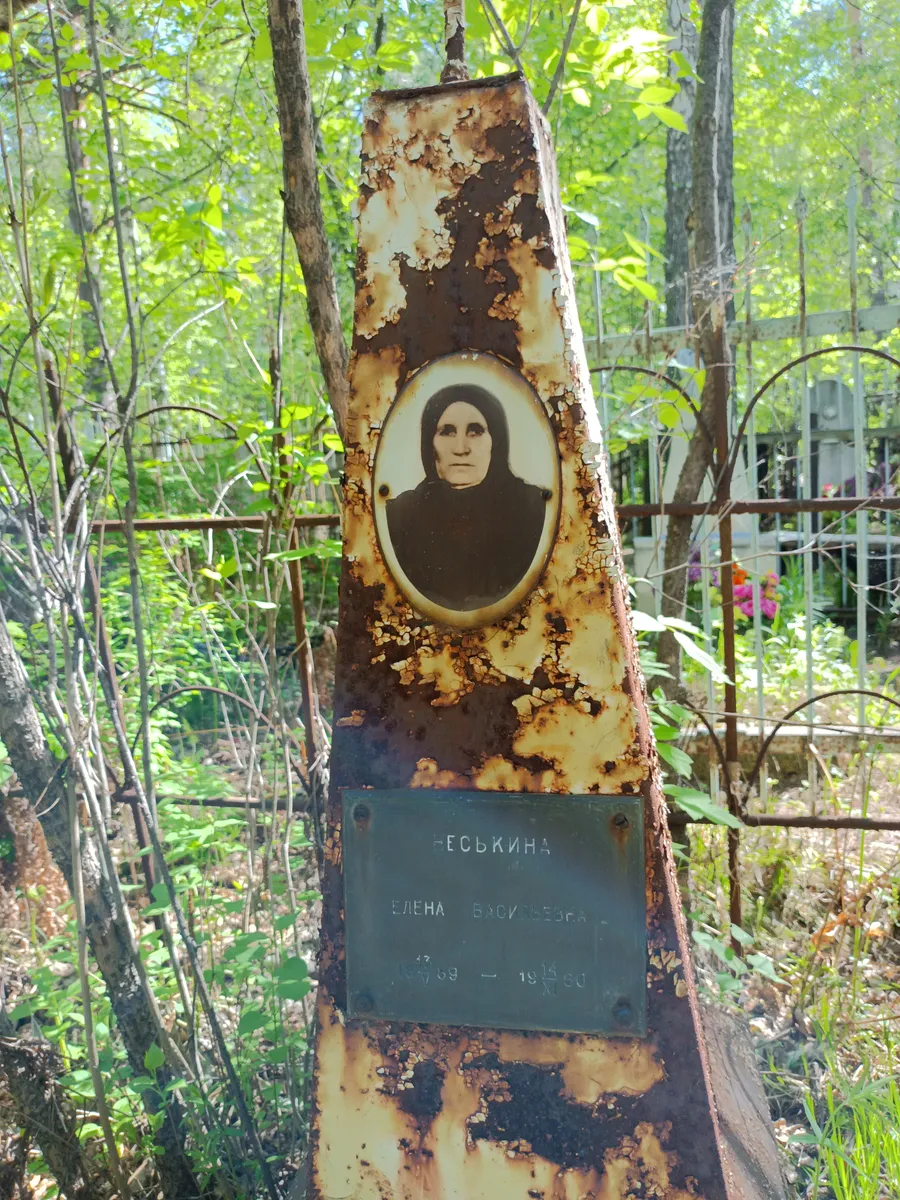 Васильєва Олена